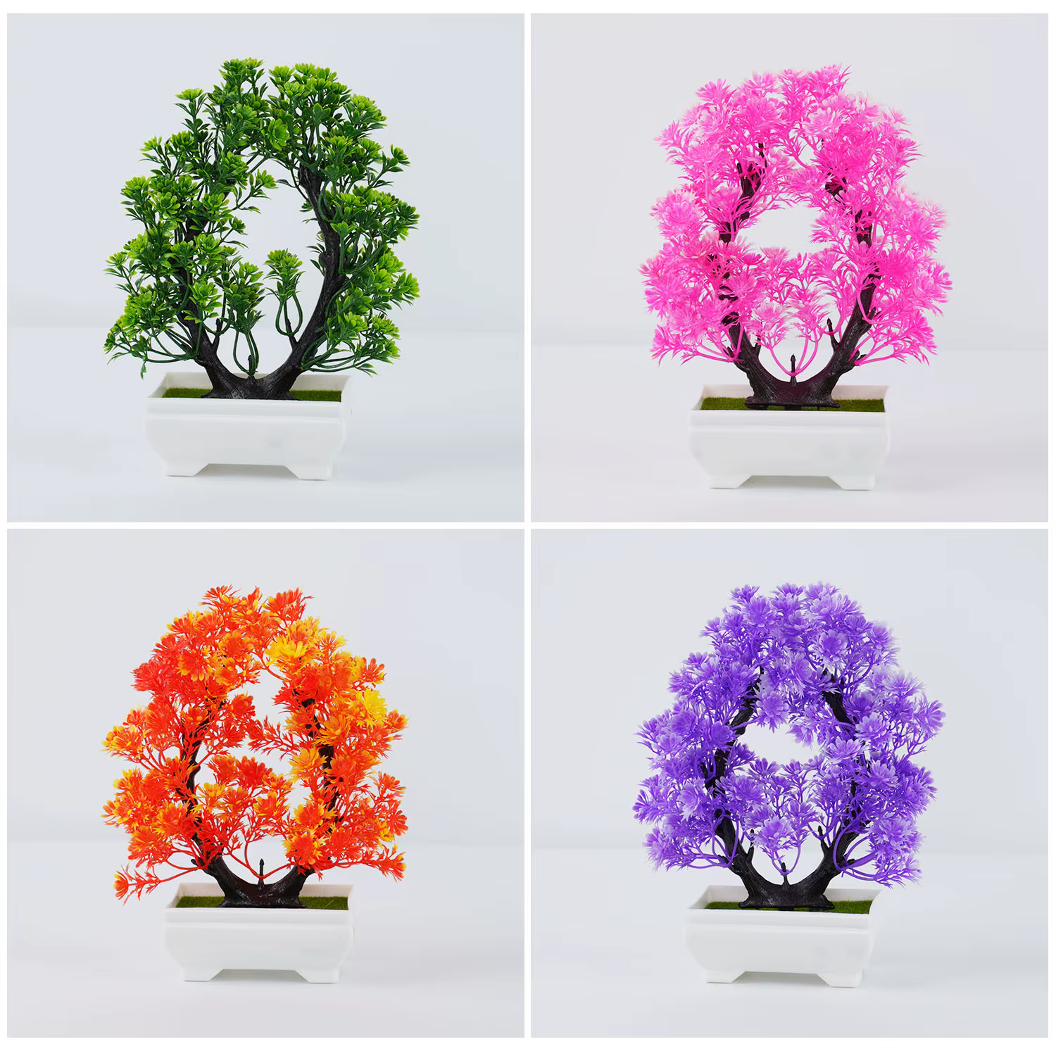 Bonsaï Élen pot, beau petit arbre