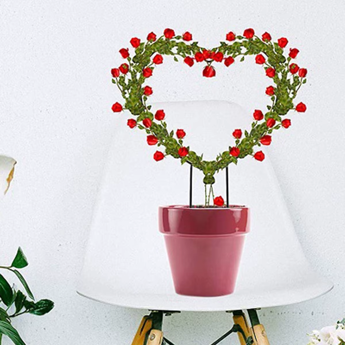 Support de plante grimpante en fer pour plantes grimpantes