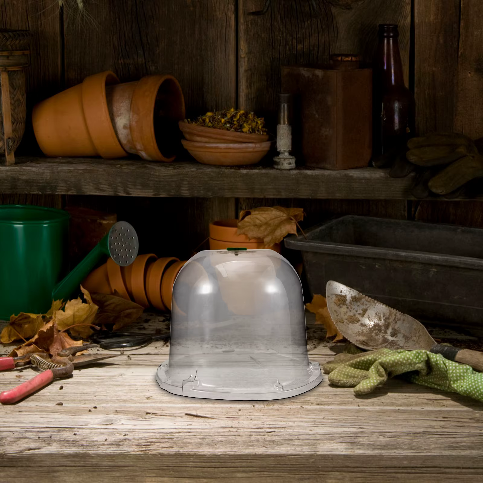 Cloche de jardin en plastique transparente avec ventilation pour protéger les plantes et les légumes contre le gel