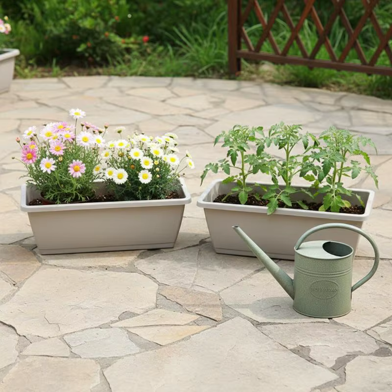 Pot de fleurs auto-absorbant pour légumes
