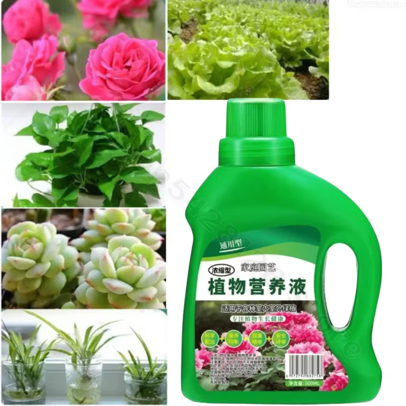 Solution hydroponique pour plantes nutritives