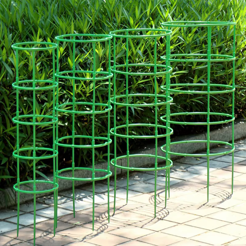 Support d'escalade de vigne verte