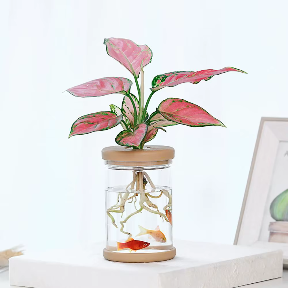 Pot de fleurs hydroponique en résine transparente imitation verre pour intérieur/extérieur