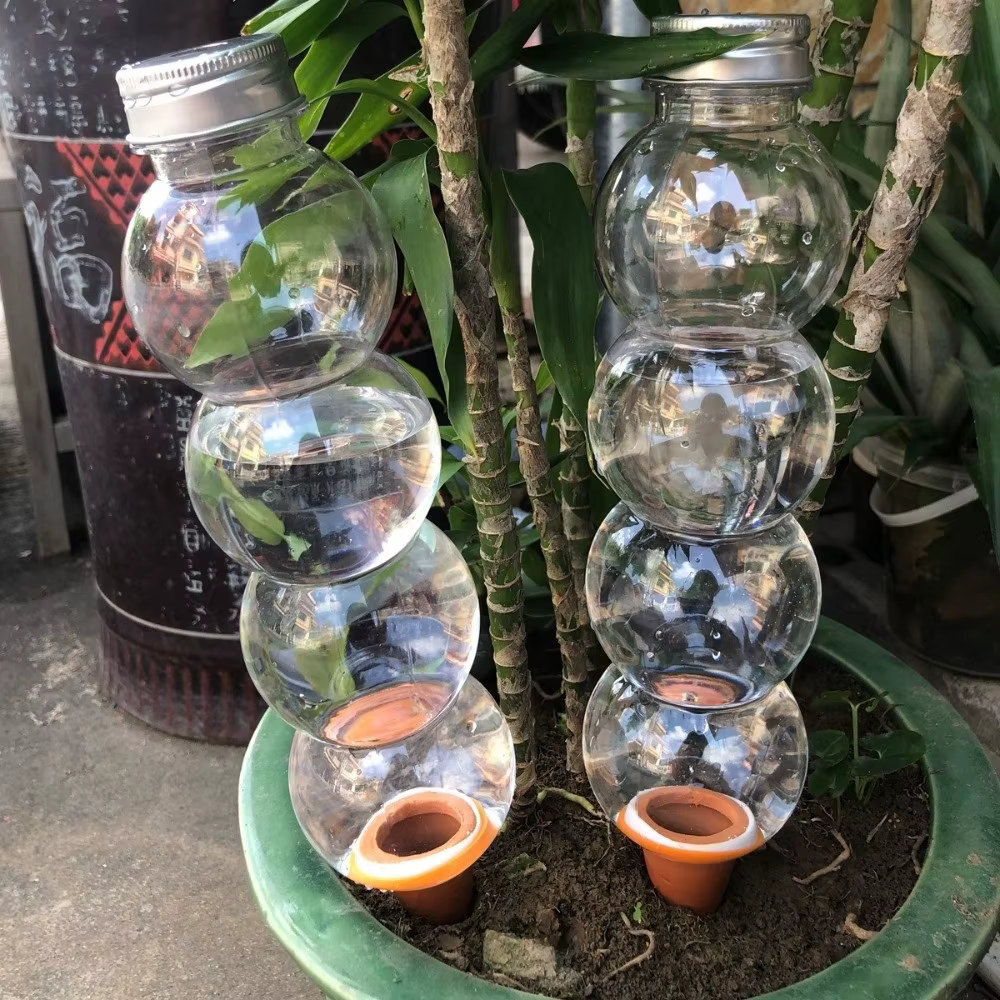 Insert de bouteille d'irrigation goutte à goutte pour plantes auto-arrosantes