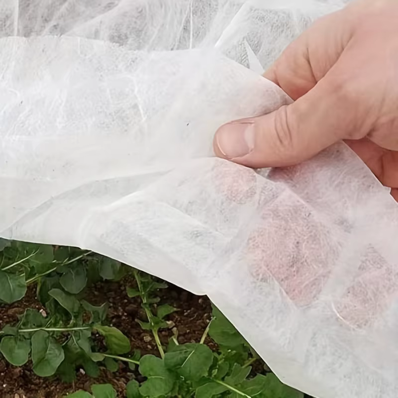 Couverture de protection des plantes en tissu non tissé épaissi