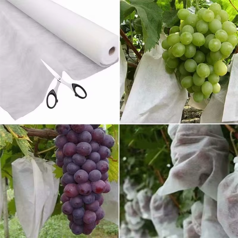 Couvertures pour plantes flottantes