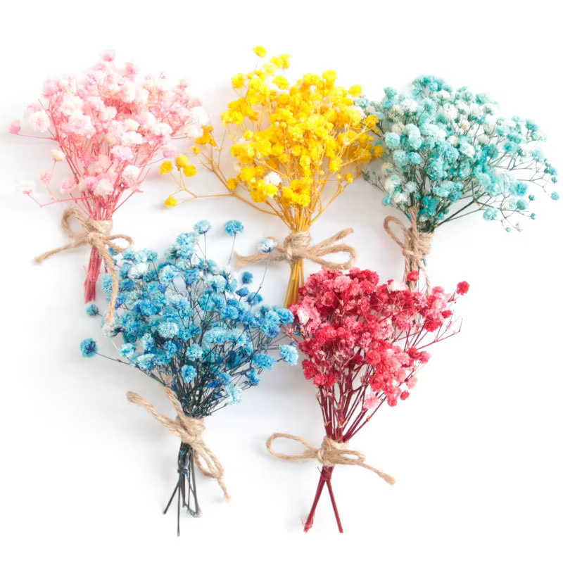 Mini bouquet de fleurs séchées naturelles