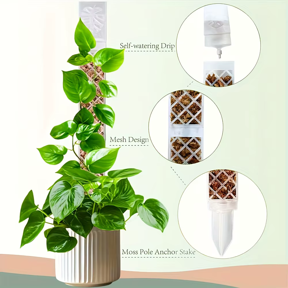 1 pièce Goutteur auto-arrosant réglable en forme de D pour plantes
