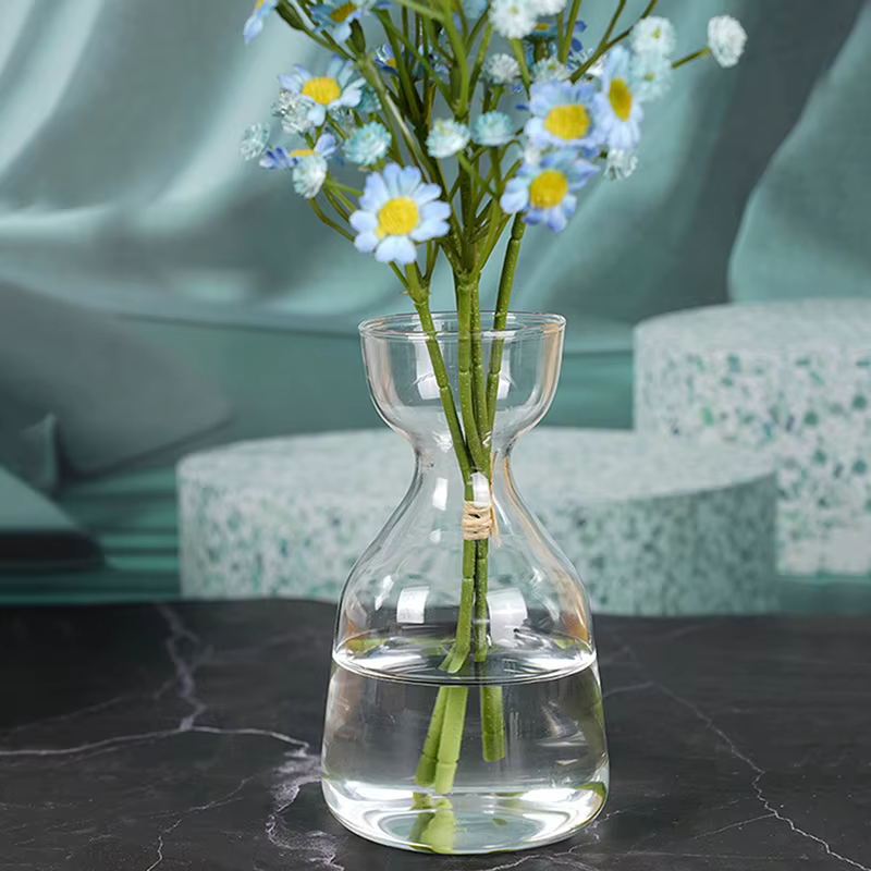 Vase de démarrage de graines d'avocat