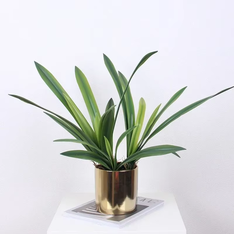 Feuilles de clivia artificielles plantes vertes