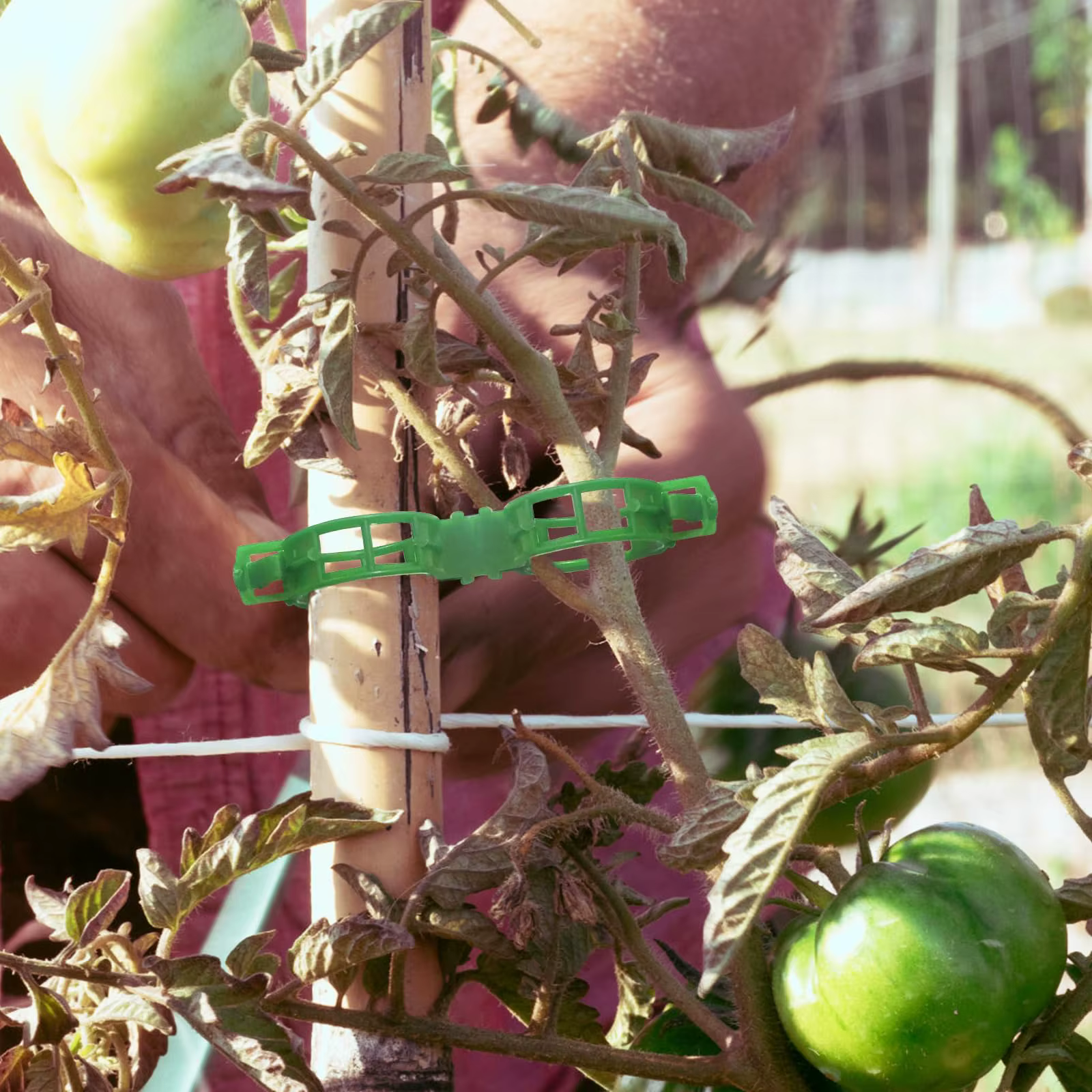 Clips de Support pour plantes-Clips à tomates pour treillis de ficelle
