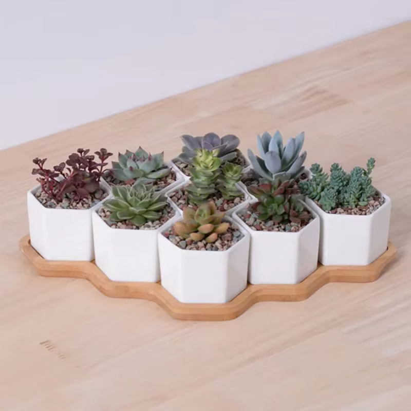 Pot de fleurs hexagonal en céramique blanche avec support en bambou