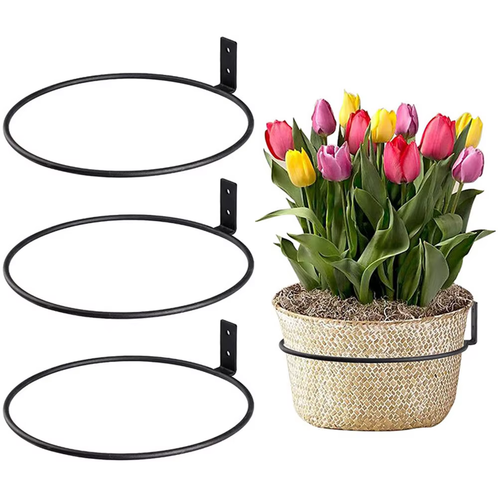 ​ Anneau de support pour plantes