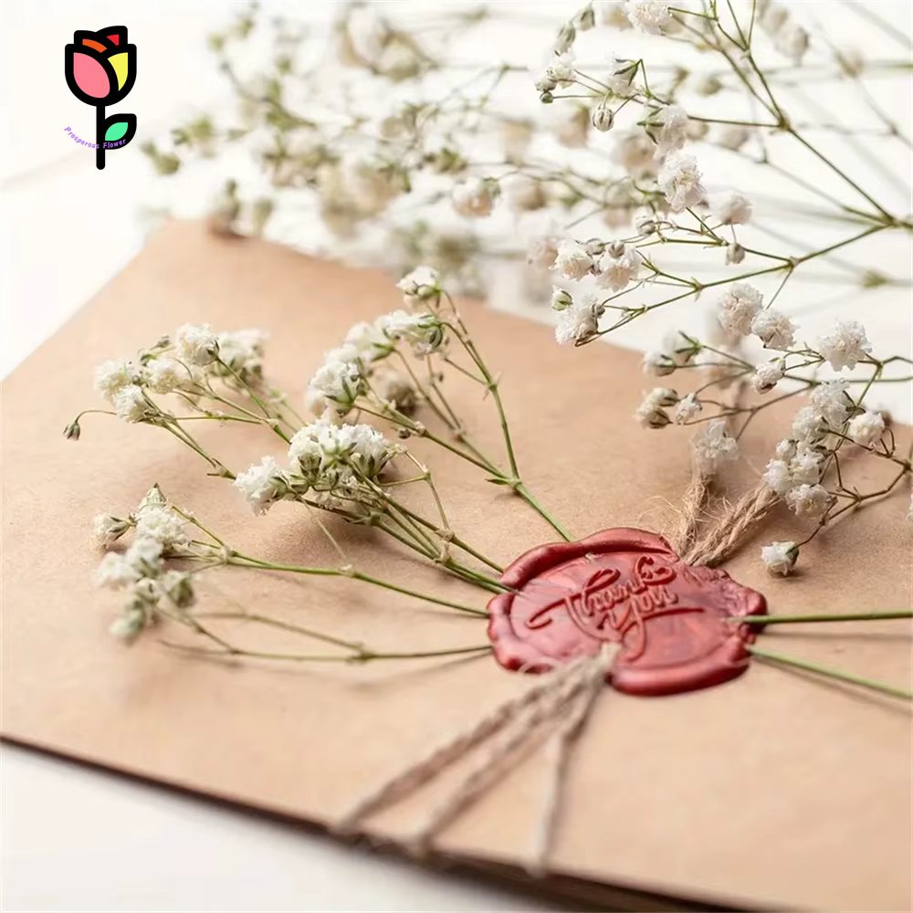 Bouquet de fleurs séchées pour bébé