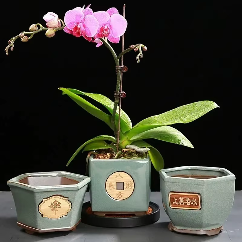 Pot à Bonsaï en Céramique Vintage