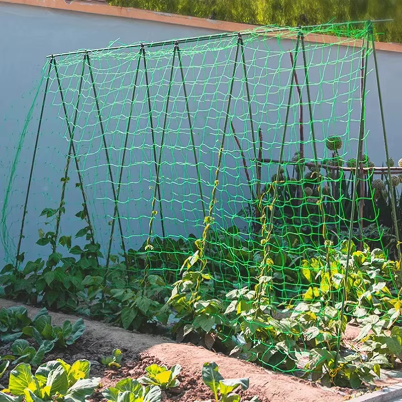 Pergolas pour plantes, filet de culture en polyester robuste