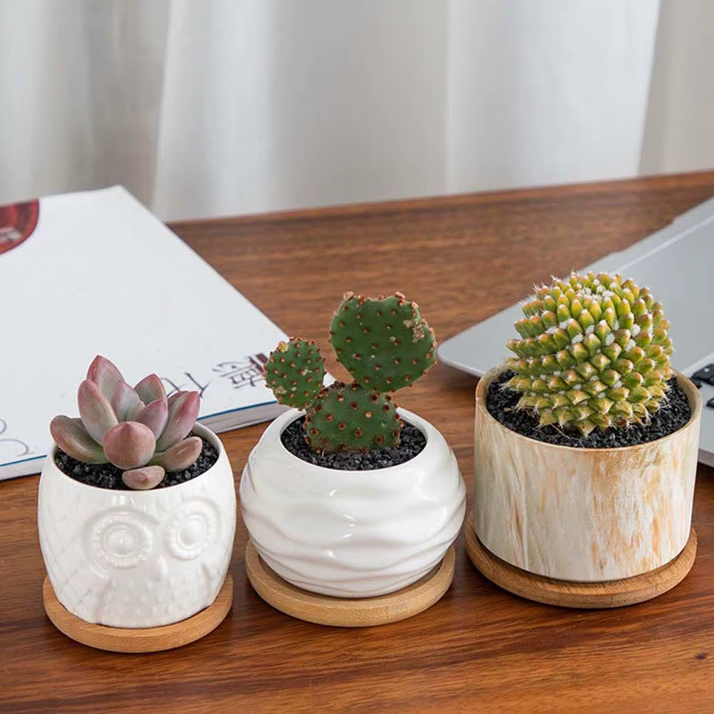 Pot de Fleurs Simple en Bois de Bambou
