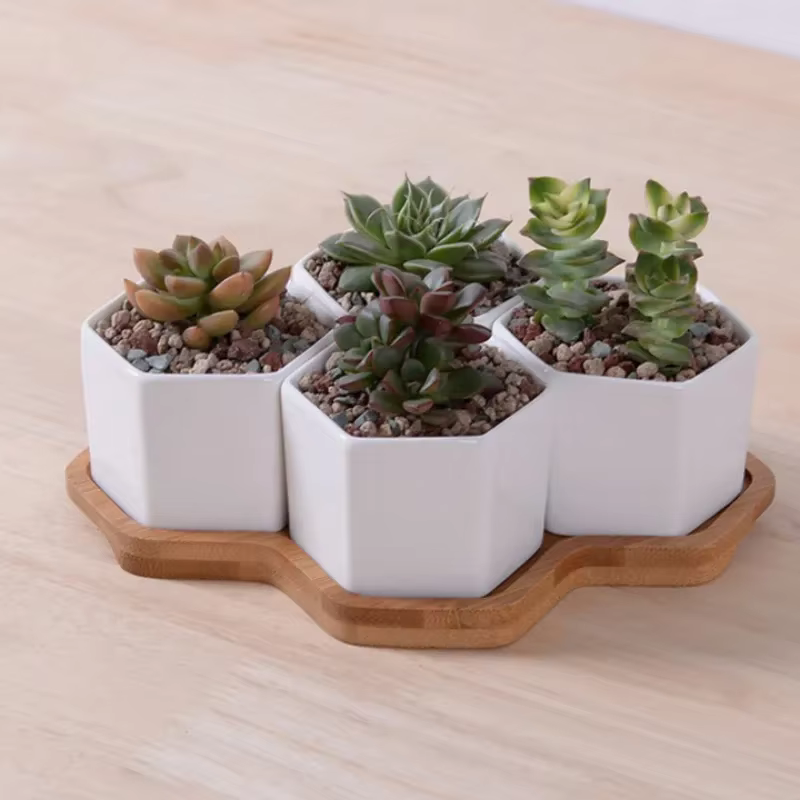 Pot de fleurs hexagonal en céramique blanche avec support en bambou