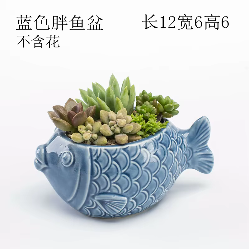 Pot de fleurs miniature en forme de baleine et de coquillage