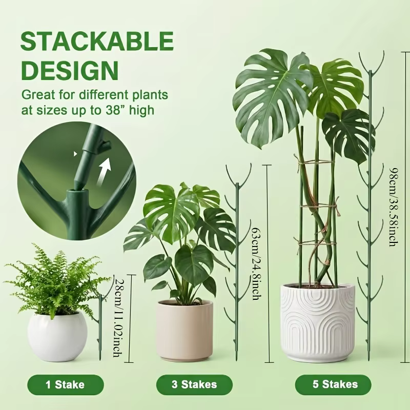 Lot de 6 supports pour plantes Monstera