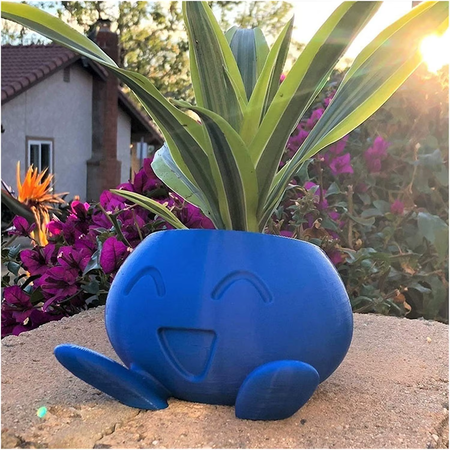 Jardinière étrange Pot de fleur