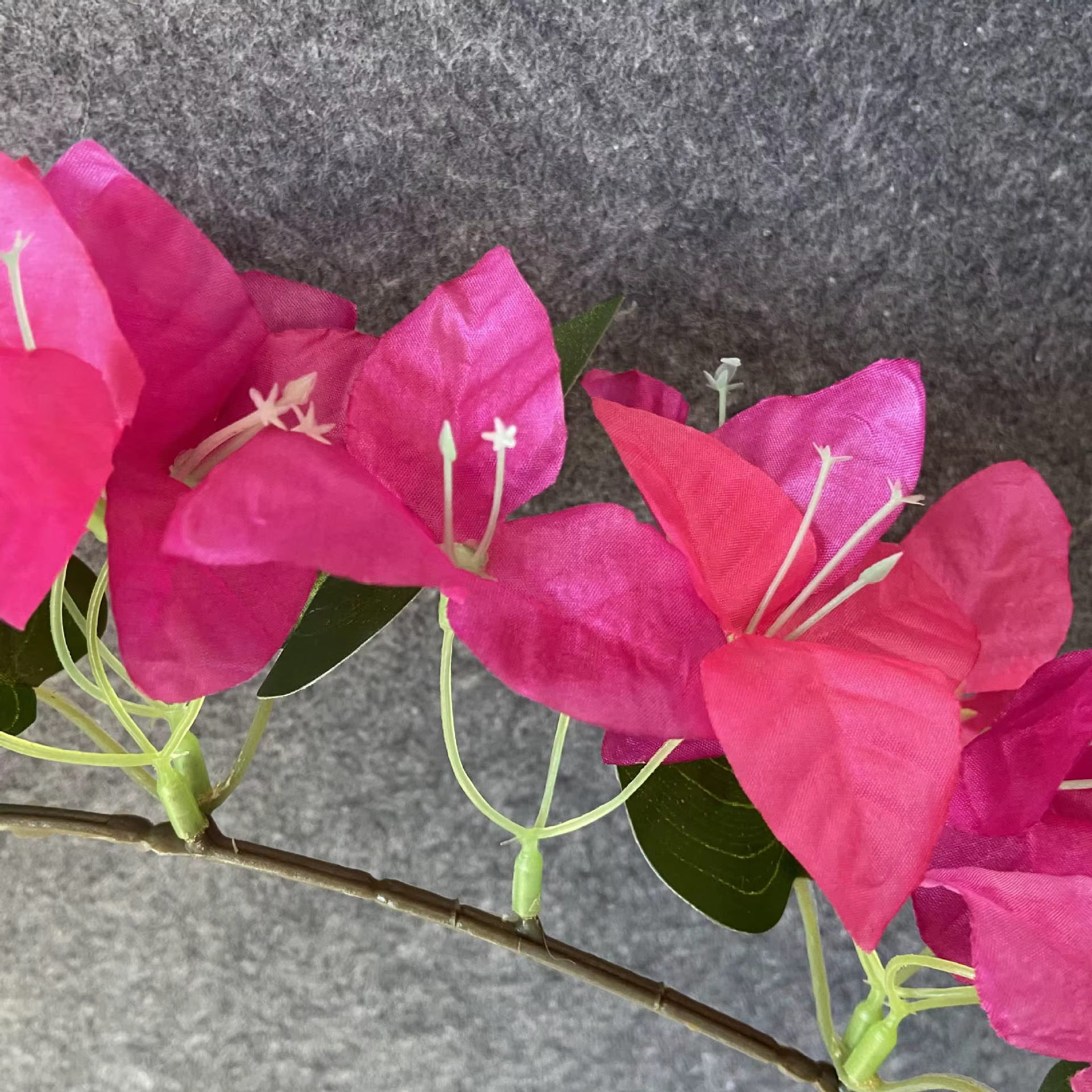 Simulation de Bouquet de bougainville