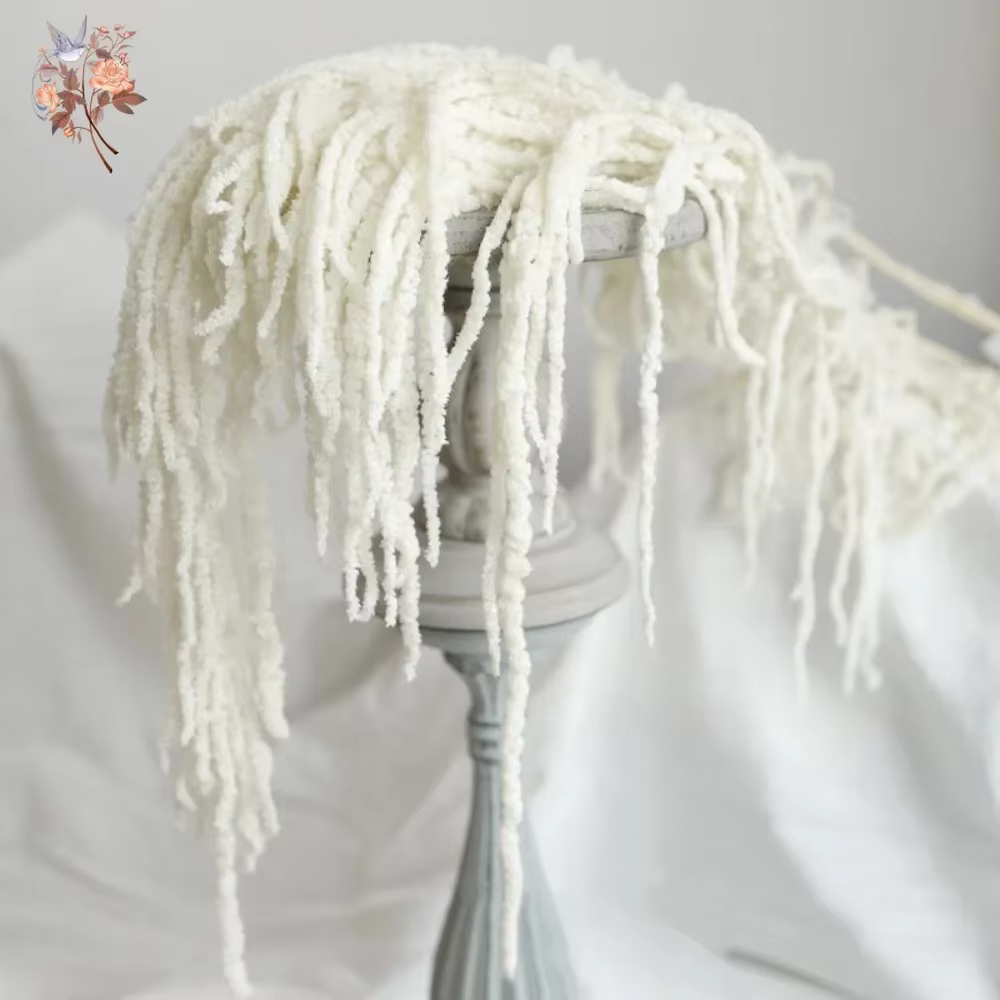 Amaranthus suspendu de fleurs séchées naturelles