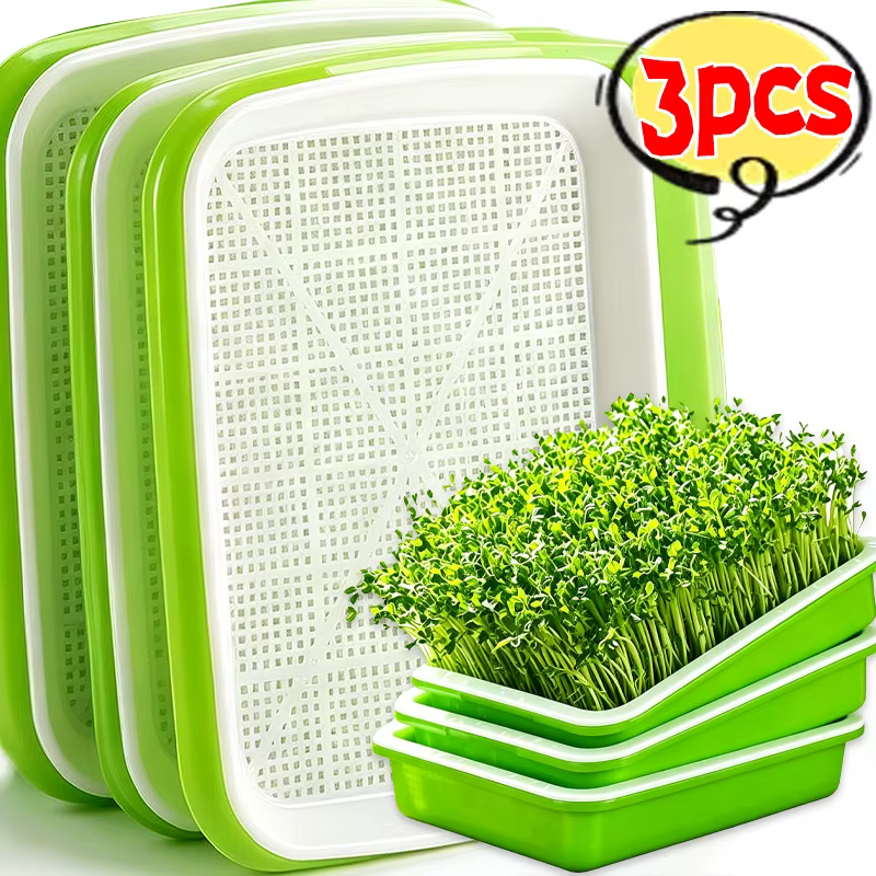 Plateau de germination de jardin