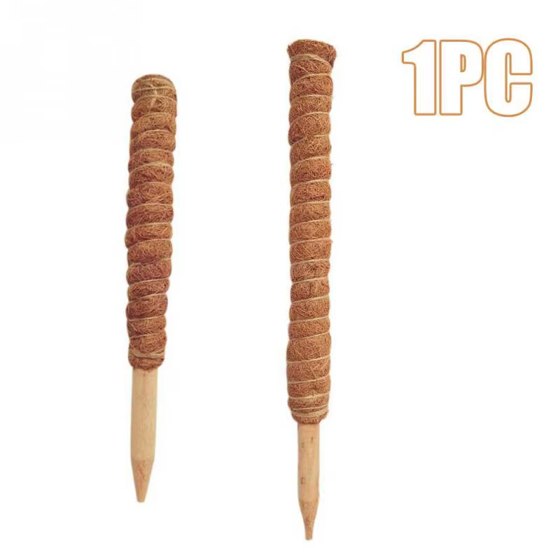 Poteau Totem en coco pour plantes grimpantes