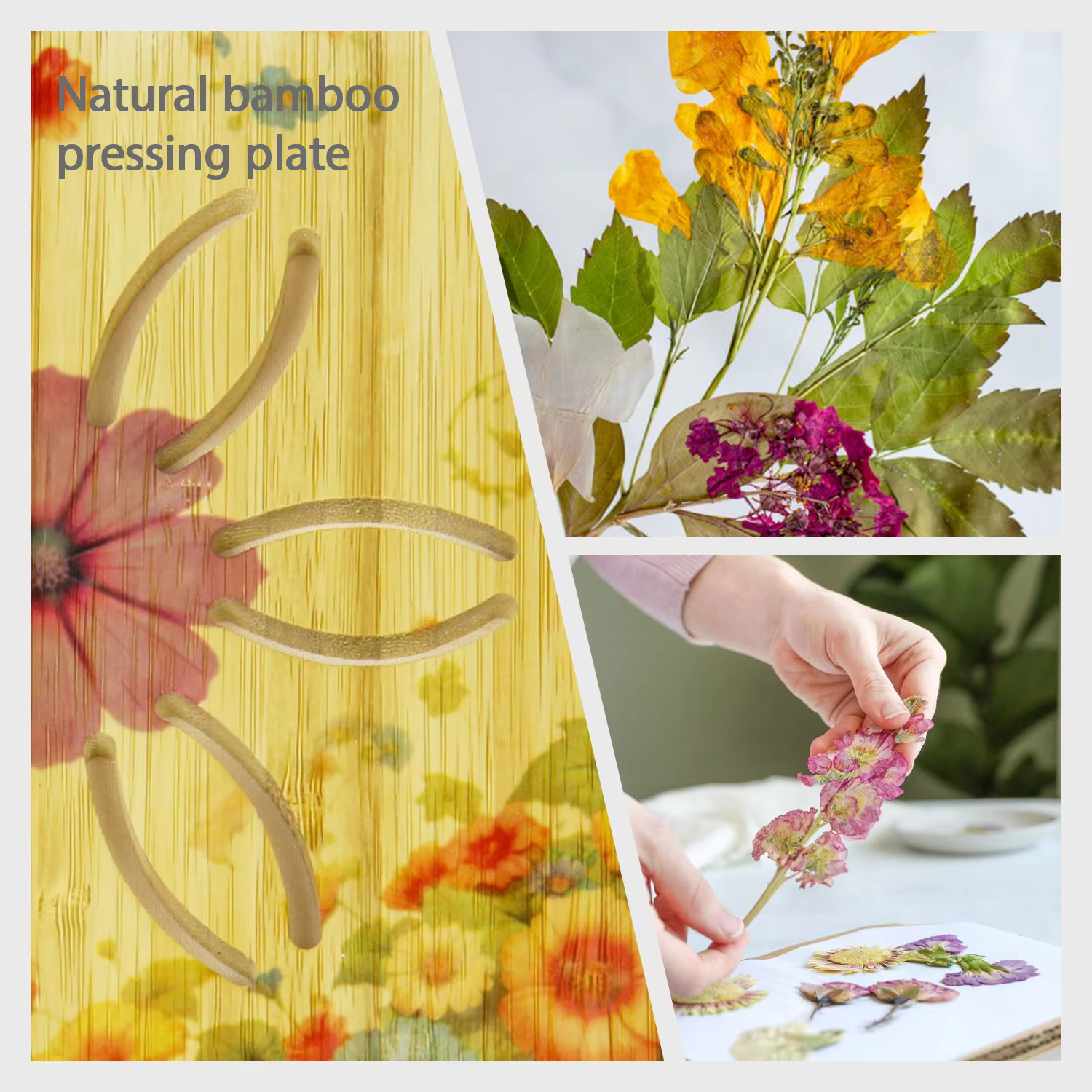 Kit de presse à fleurs micro-ondes pour art floral