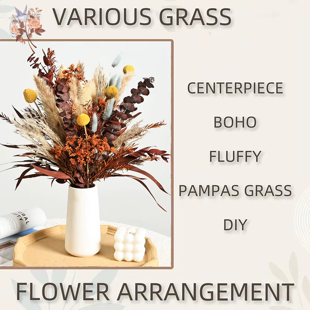 Bouquets de Pampas d'eucalyptus Orange