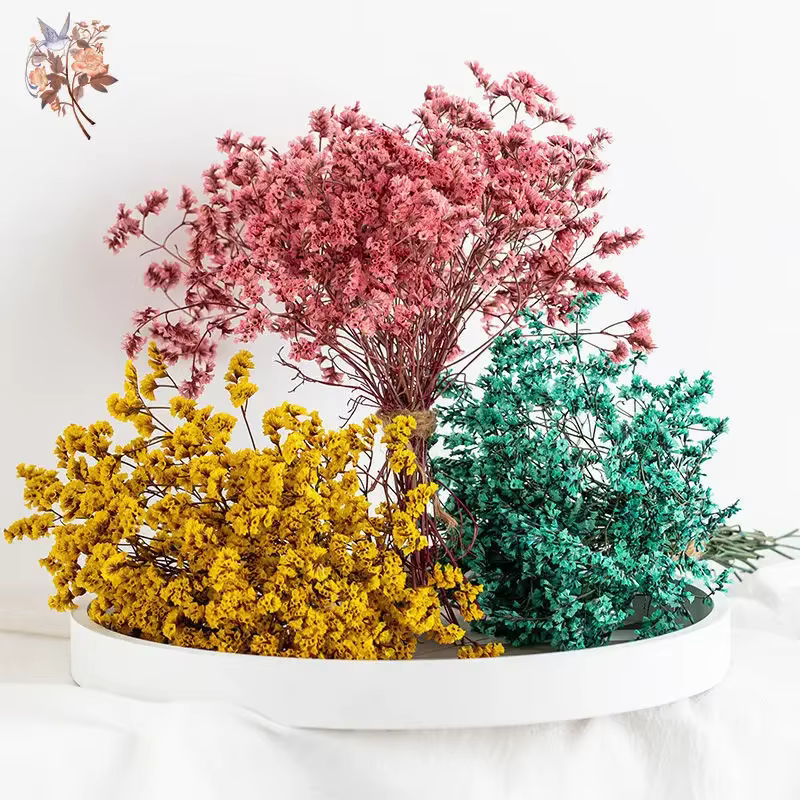 Bouquets d'herbe en cristal naturel de fleurs séchées