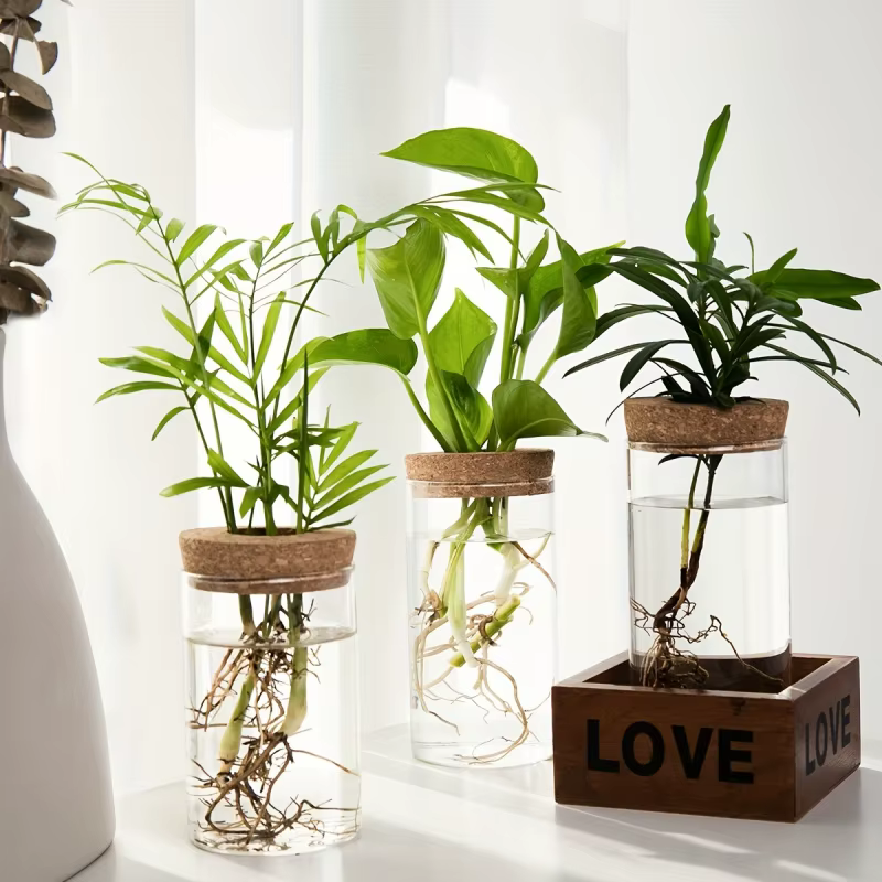 1pc, Vase de jardinière en verre de bureau pour plantes hydroponiques pour la décoration de la maison