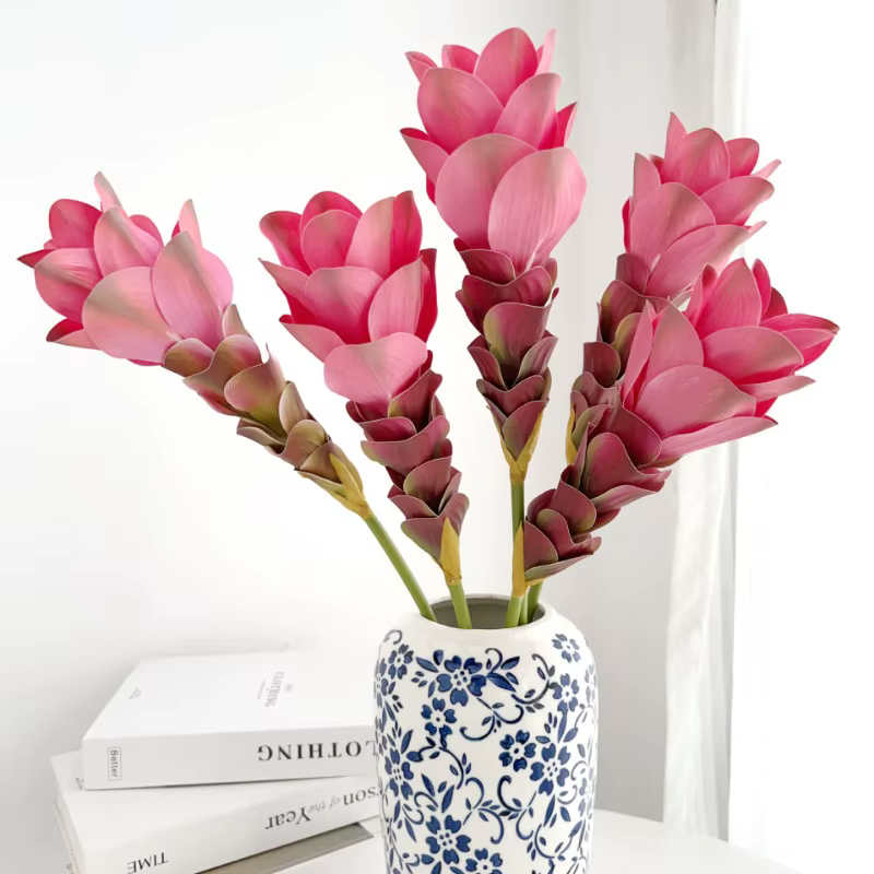 Simulation de fleur de gingembre dégradée