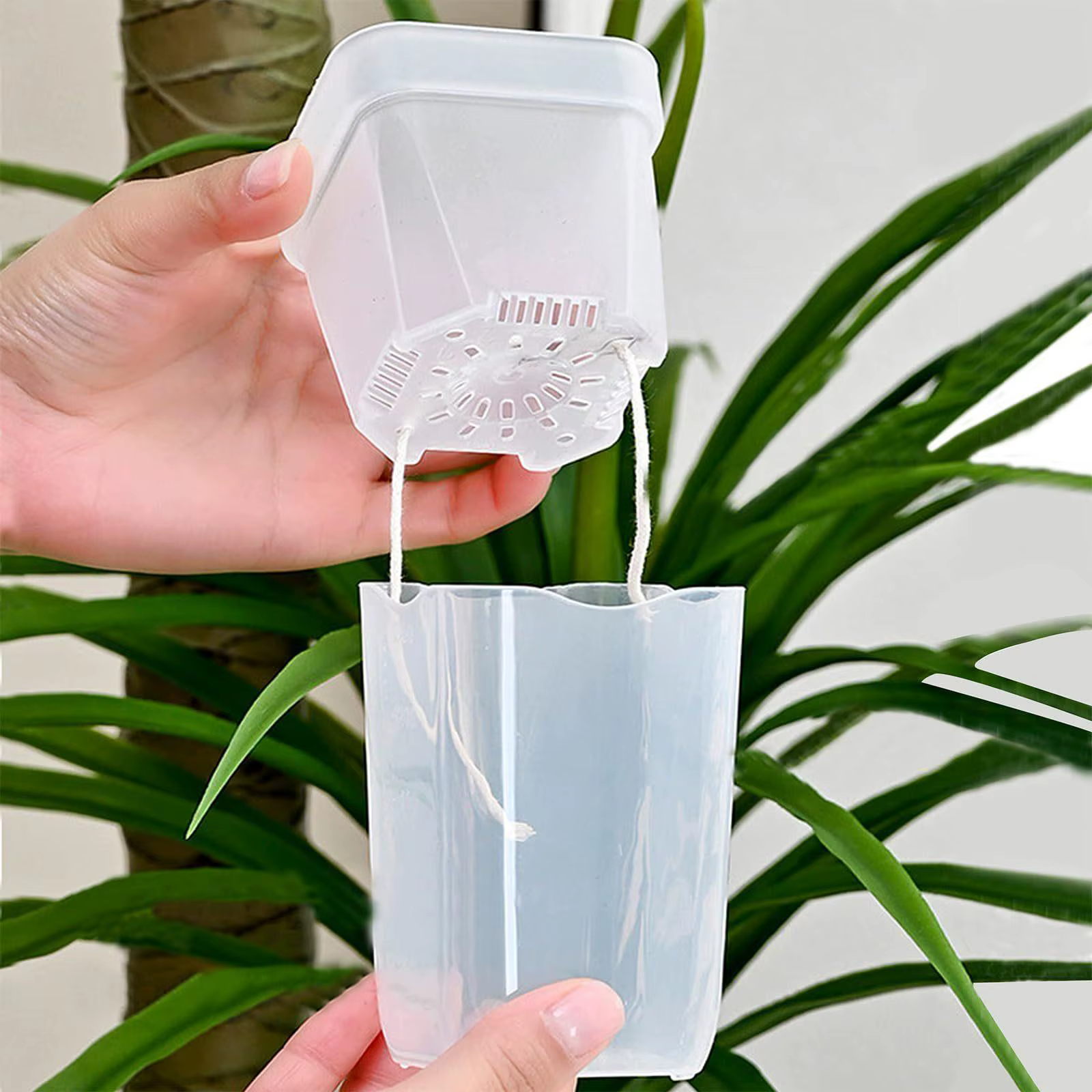Petits pots auto-arrosants pour plantes d'intérieur
