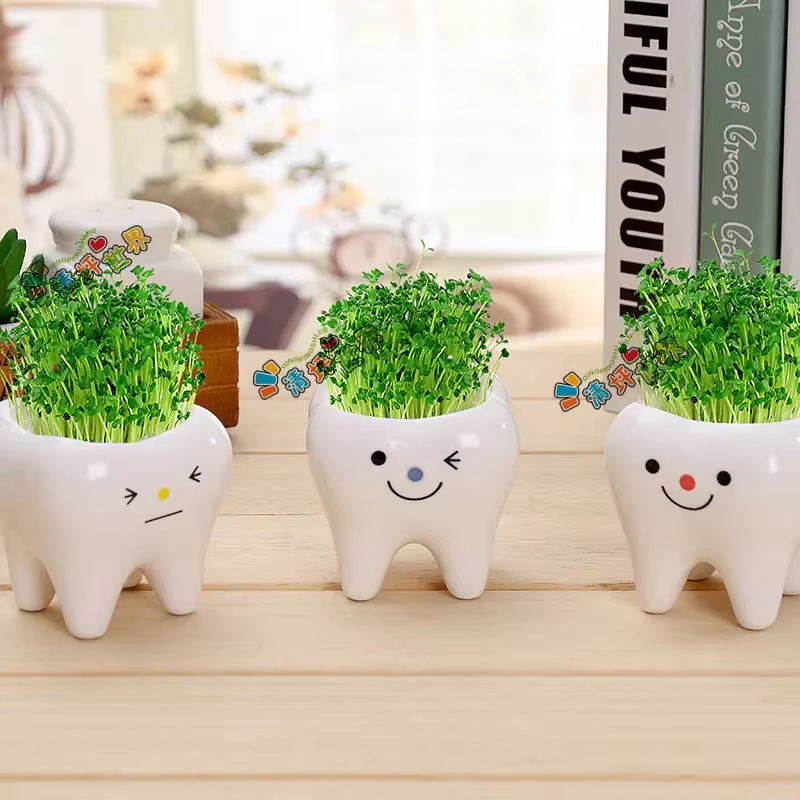 Mini pot de fleurs en céramique en forme de dent