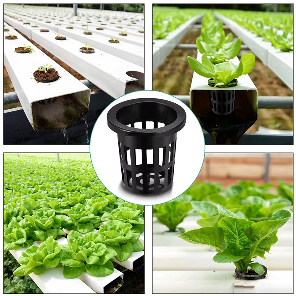 Panier hydroponique, 10 pièces, conteneurs pour plantes, pots de culture, de haute qualité, forme ronde, coupelles en filet robustes, fournitures pour la maison, intérieur et extérieur