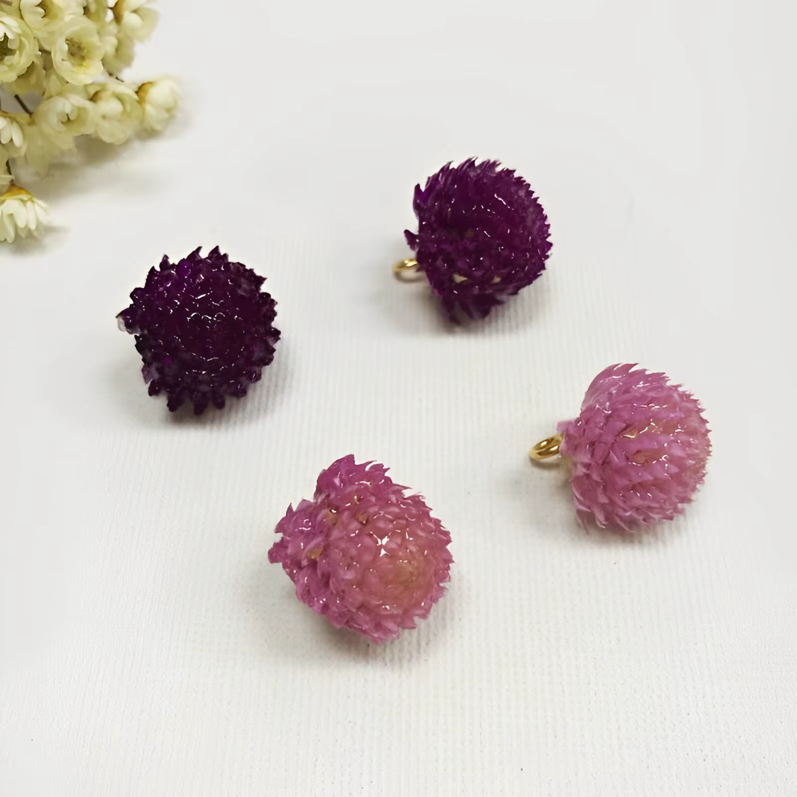 Aqumotic – plantes sèches