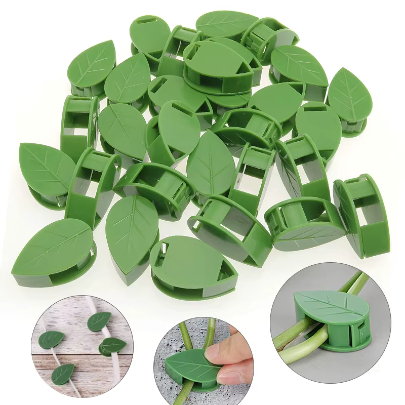 Fixation murale Invisible pour plantes grimpantes
