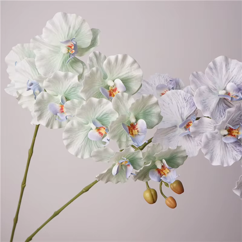 Fausses fleurs en film latex phalaenopsis