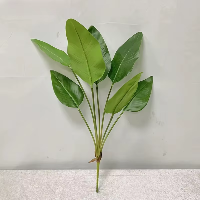 7 feuilles de plantein vert à main