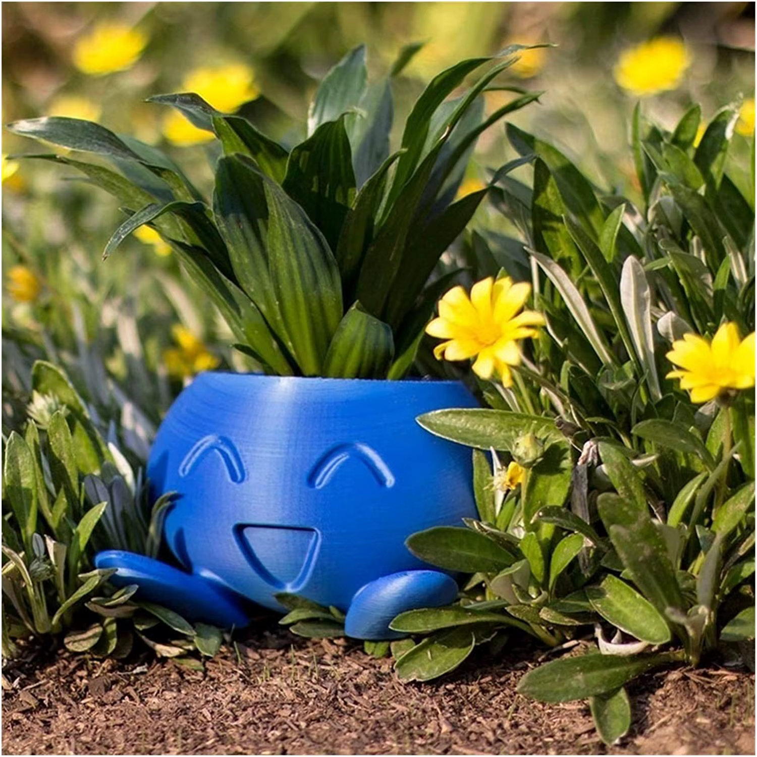 Jardinière étrange Pot de fleur