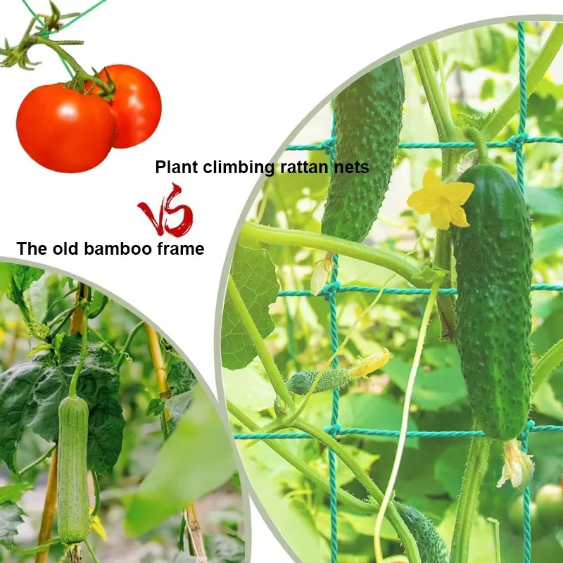 Maille de cadre pour plantes grimpantes à 18 actions