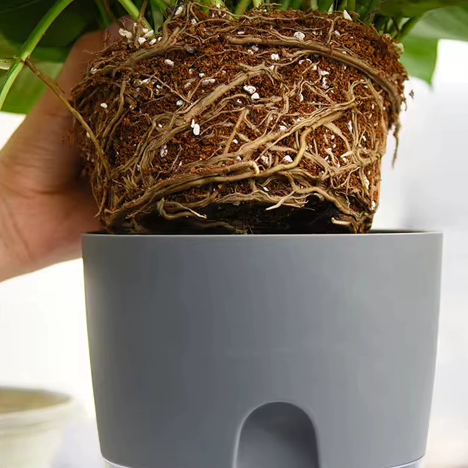 Pot de fleur en plastique Transparent Double couche