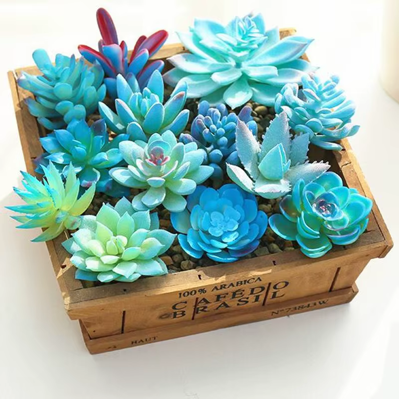 Plantes succulentes artificielles bleues
