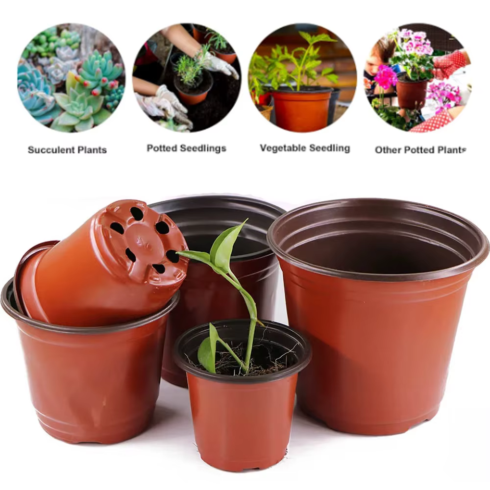 Pot de plantes de jardin