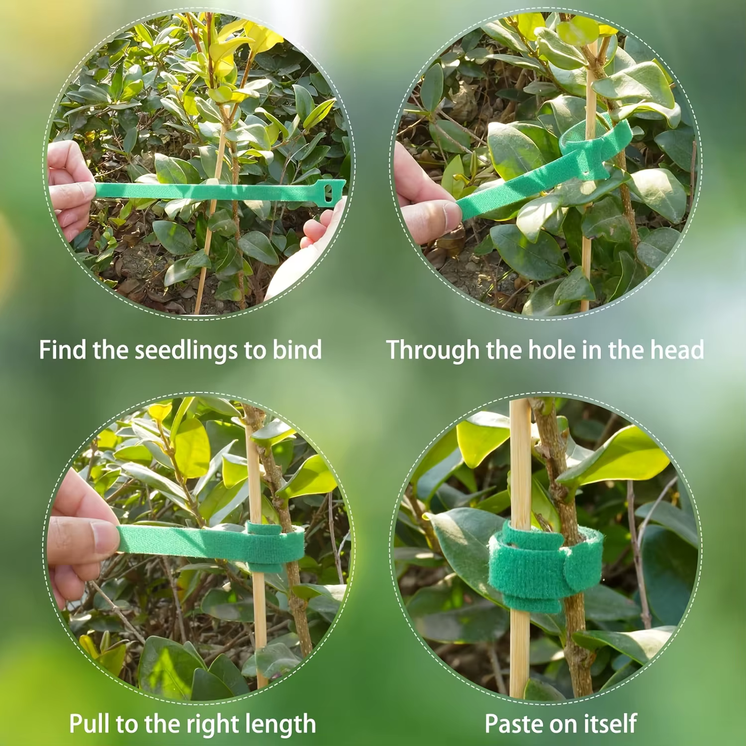 Attaches pour plantes en nylon antidérapantes réglables et réutilisables