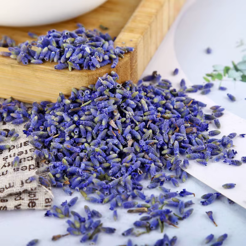 Fleurs séchées de lavande naturelle de haute qualité pour la décoration de la maison