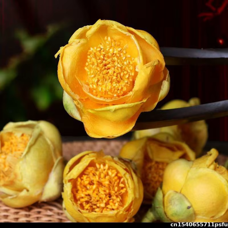 Fleurs séchées de camélia dorée naturelle de qualité supérieure pour la fabrication de savon