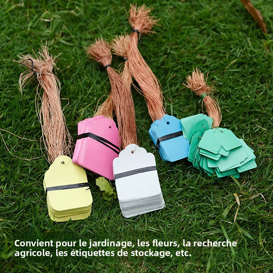Étiquettes de plantes réutilisables